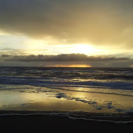 Texel * דה בורג