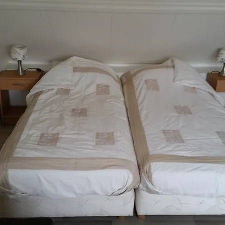 Texel * דה בורג